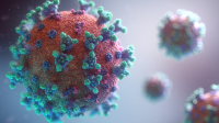 Coronavirus Quiz | General Knowledge Questions on Coronavirus | Covid-19 FAQ