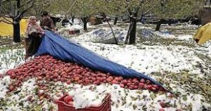 Global Report on Food Crises 2023