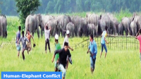Odisha’s Strategy to mitigate Human-Elephant Conflict