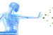 What is Immune Imprinting?