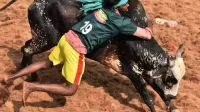 Jallikattu celebrations begin in Madurai