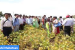 Krishi Mahotsav – Exhibition and Training Programme