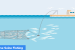 Purse Seine Fishing