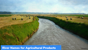 APEDA to use River Names for Branding
