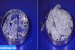 Medium-Density Amorphous Ice-MDA Ice