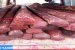 CITES Database on red sanders smuggling