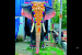 Kerala Temple introduces mechanical elephant