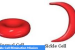 Mission to eliminate Sickle Cell Anaemia by 2047