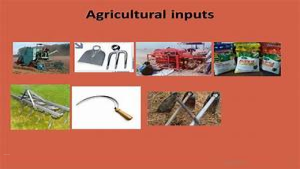 Agricultural Inputs and Productivity