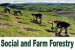 Agroforestry and Social Forestry
