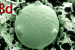 Batrachochytrium dendrobatidis