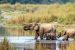 Where is Chitwan National Park?
