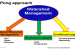 Command Area Development and Watershed Management