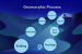 Concepts of Geomorphic Cycles and Landscape Development