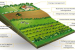 Cropping Pattern, Agricultural Productivity, Agricultural Intensity, Crop Combination, and Land Capability
