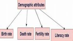 Demographic Attributes