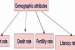 Demographic Attributes