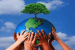 Ecological issues