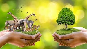 Ecosystem their Management and Conservation