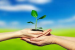 Environmental awareness