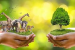 Environmental Degradation, Management and Conservation
