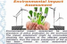 Environmental Impact Assessment and Environmental Management