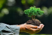 Environmentalism