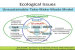 Global and Regional Ecological Changes and Imbalances
