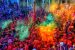 What is Holi?