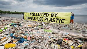 Issues Posed by Environmental Pollution