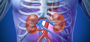 What is Acute Kidney Injury?