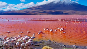 Lake Natron – An Alkaline Lake in Tanzania