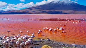 नैट्रॉन झील (Lake Natron) : तंजानिया में एक क्षारीय झील