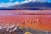 Lake Natron – An Alkaline Lake in Tanzania