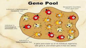 Major Gene Pool Centres