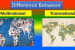 Multinationals and Liberalization