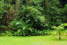Natural Vegetation