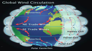 Planetary and local winds