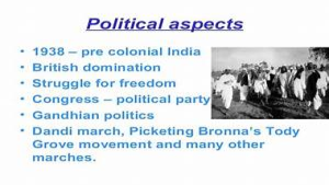 Political Aspects