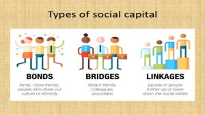 Population as Social Capital