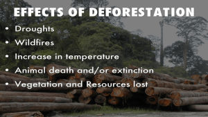 Problems of Deforestation and Conservation measures