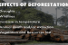 Problems of Deforestation and Conservation measures