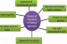 Radical, Behavioural, Human, and Welfare Approaches