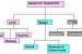Road, Railway, Waterway, Airway, and Pipeline Networks