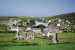 Rural Settlements