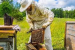 Sericulture, Apiculture and Poultry