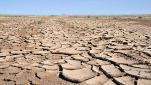 Soil Degradation and Conservation