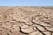 Soil Degradation and Conservation
