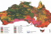 Soil Types and Their Distribution