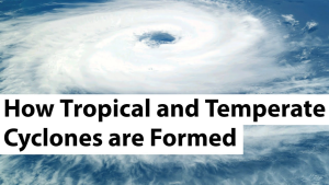 Temperate and tropical cyclones